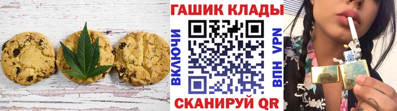 Купить где  Агрыз  Canna-Cookies конопля 